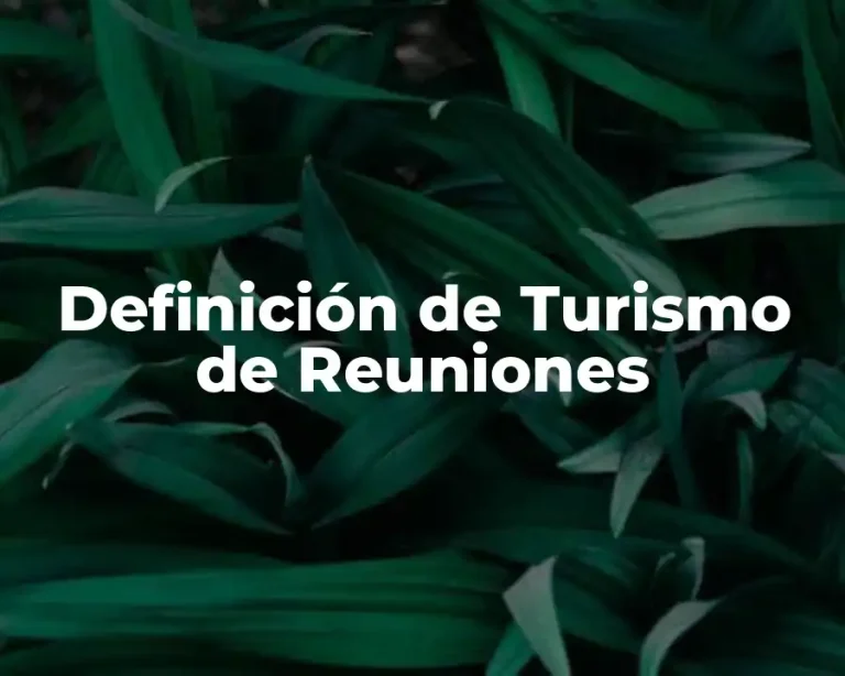 Definición de Turismo de Reuniones