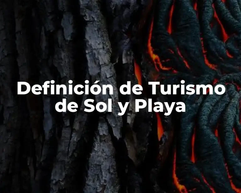 Definición de Turismo de Sol y Playa