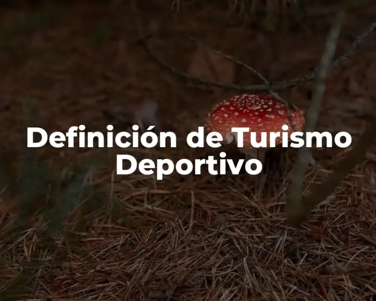 Definición de Turismo Deportivo