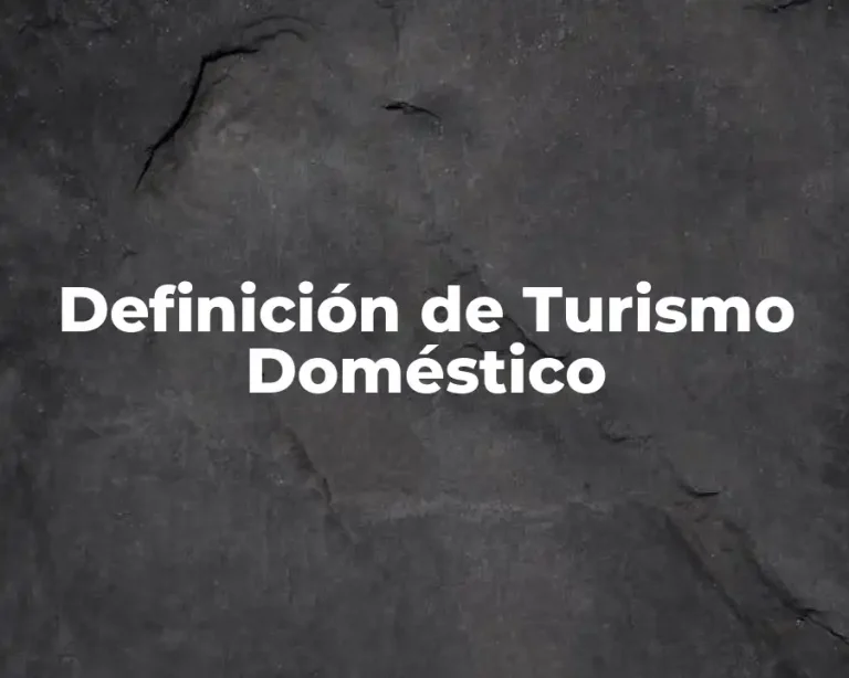 Definición de Turismo Doméstico