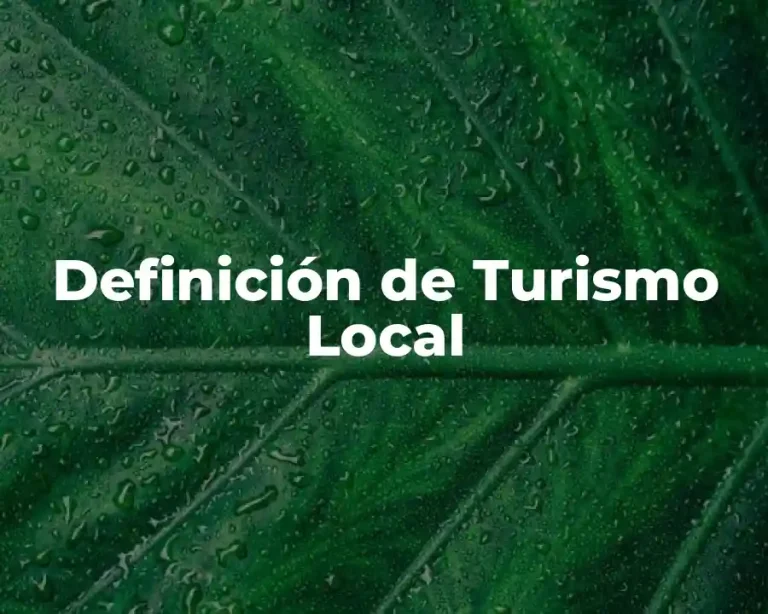 Definición de Turismo Local
