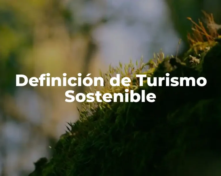 Definición de Turismo Sostenible