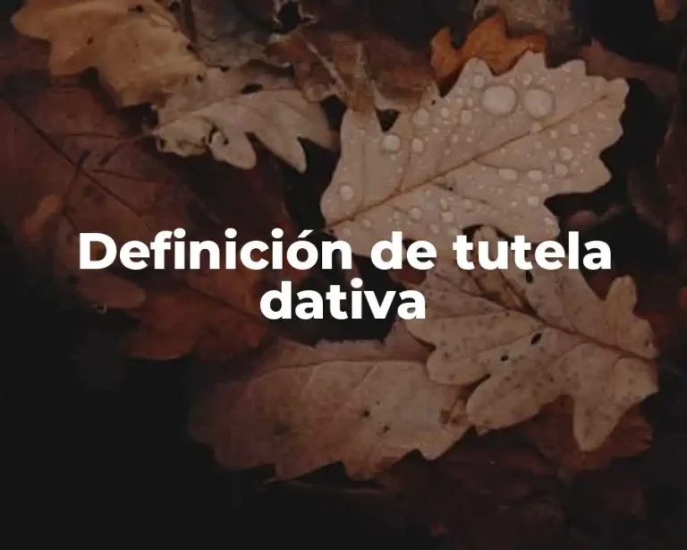 Definición de tutela dativa