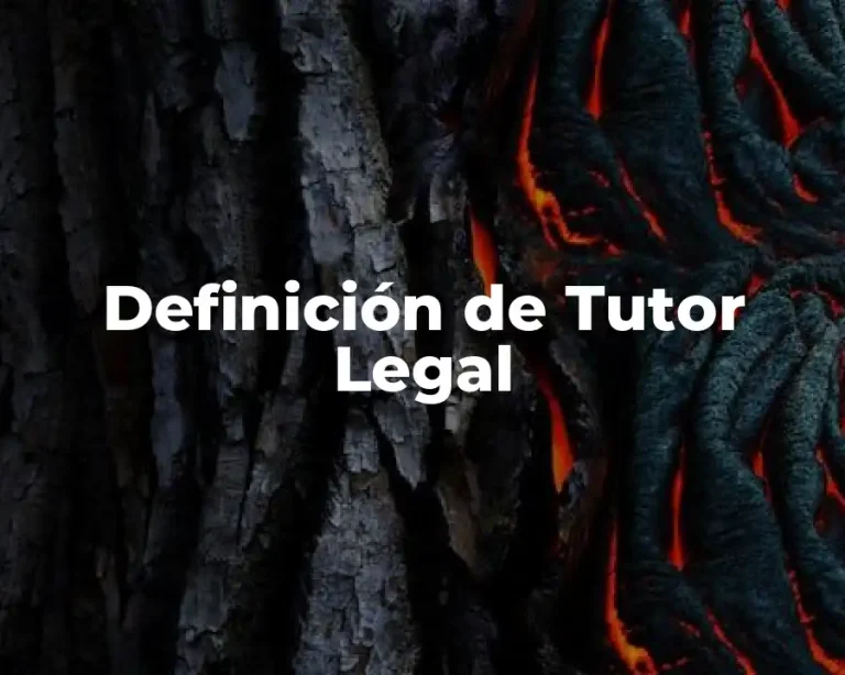 Definición de Tutor Legal