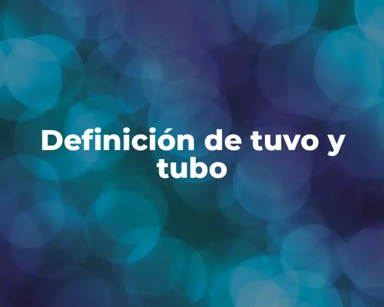 Definición de tuvo y tubo
