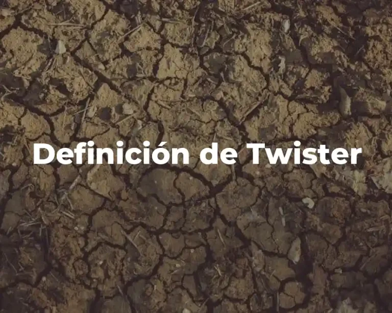 Definición de Twister