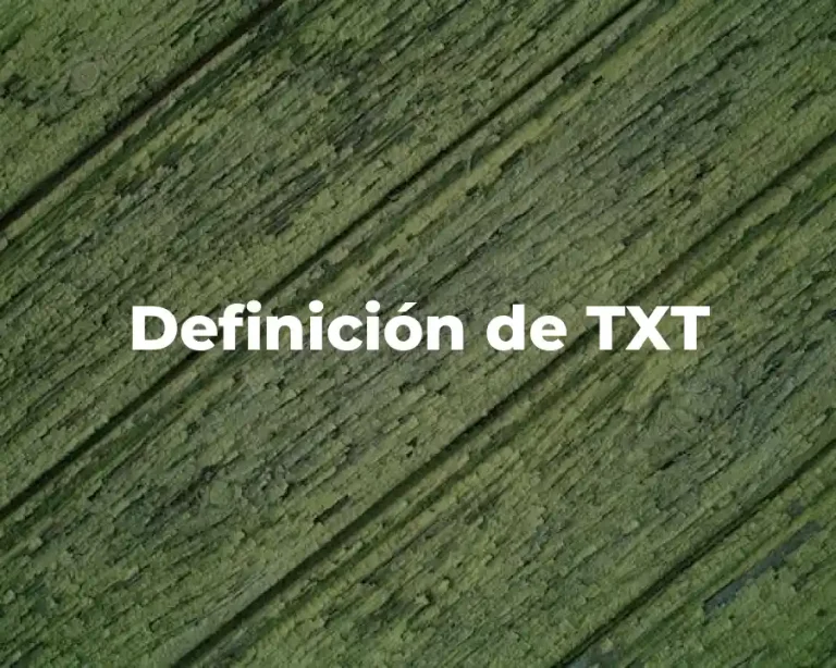 Definición de TXT