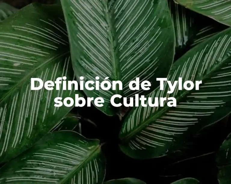 Definición de Tylor sobre Cultura