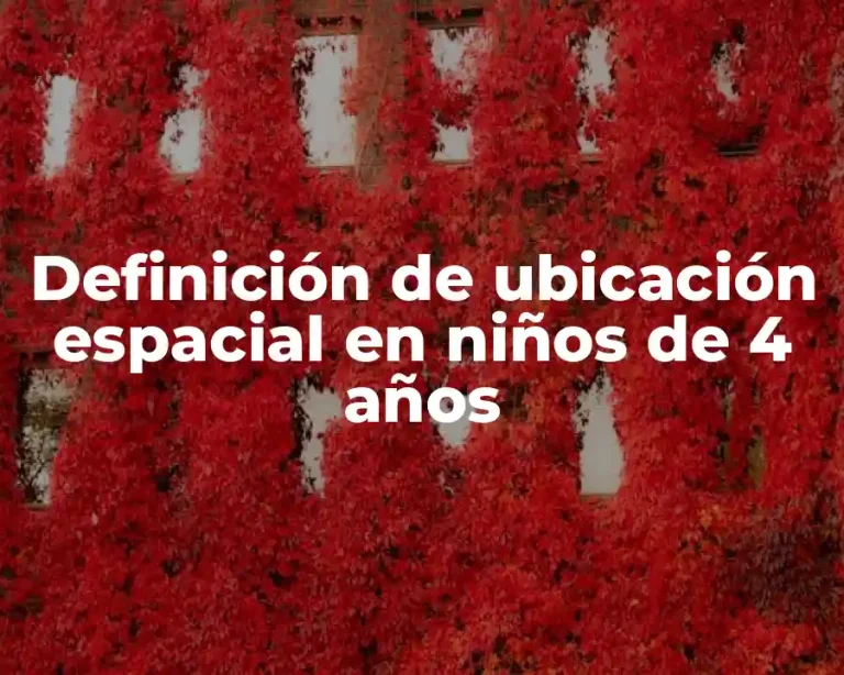 Definición de ubicación espacial en niños de 4 años