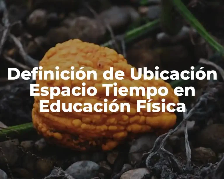 Definición de Ubicación Espacio Tiempo en Educación Física