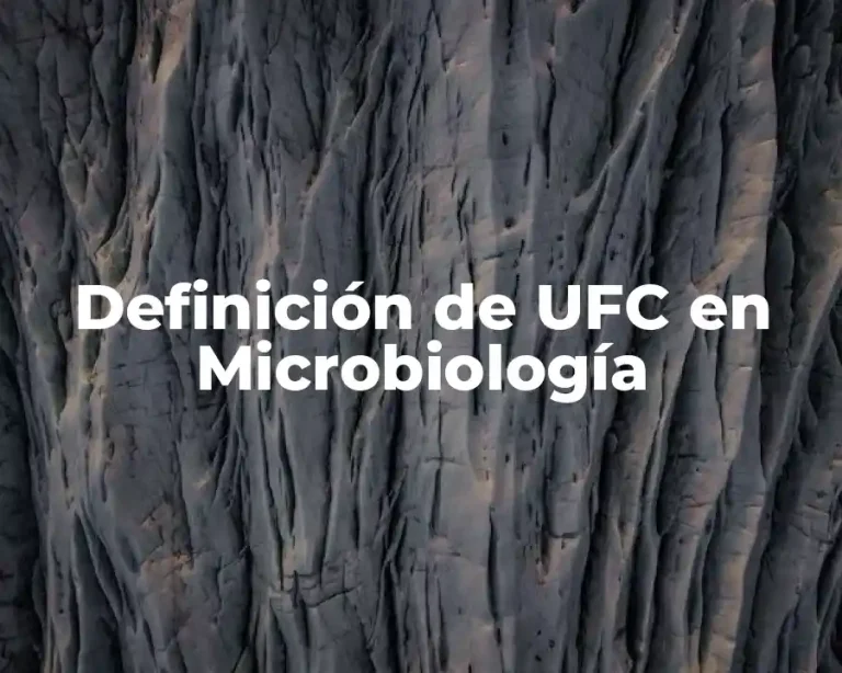 Definición de UFC en Microbiología