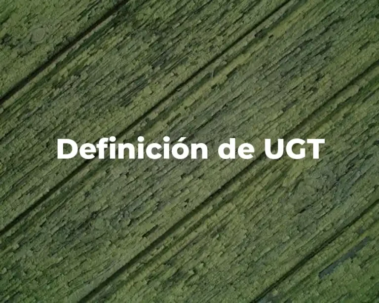 Definición de UGT