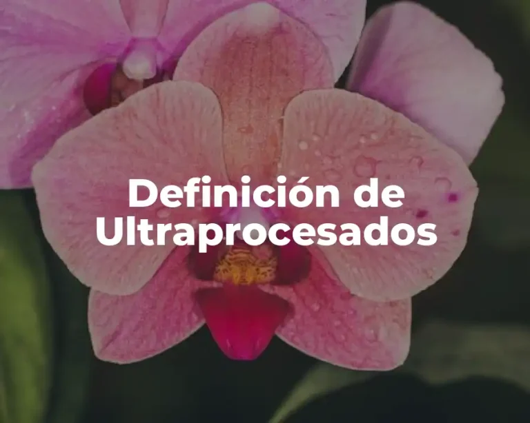 Definición de Ultraprocesados