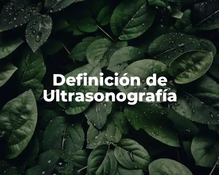 Definición de Ultrasonografía