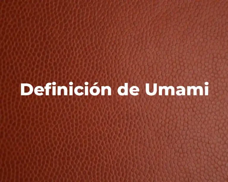 Definición de Umami
