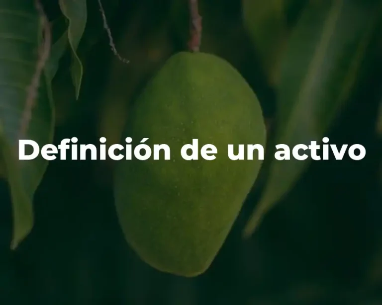 Definición de un activo