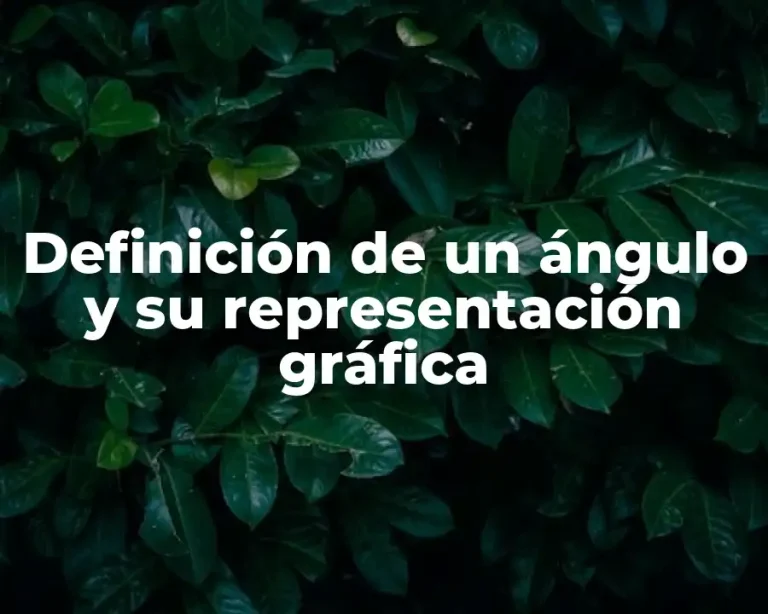 Definición de un ángulo y su representación gráfica