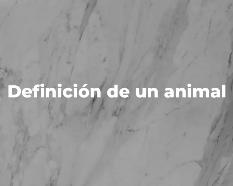 Definición de un animal