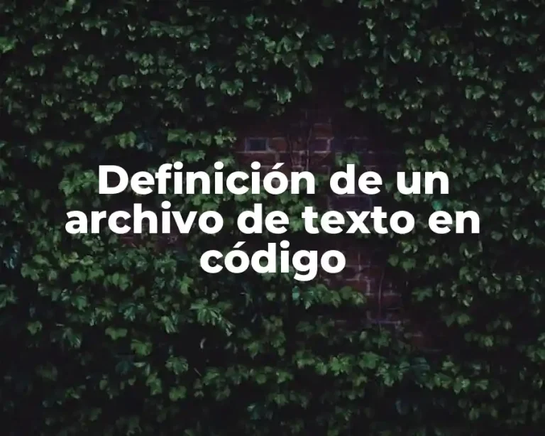 Definición de un archivo de texto en código