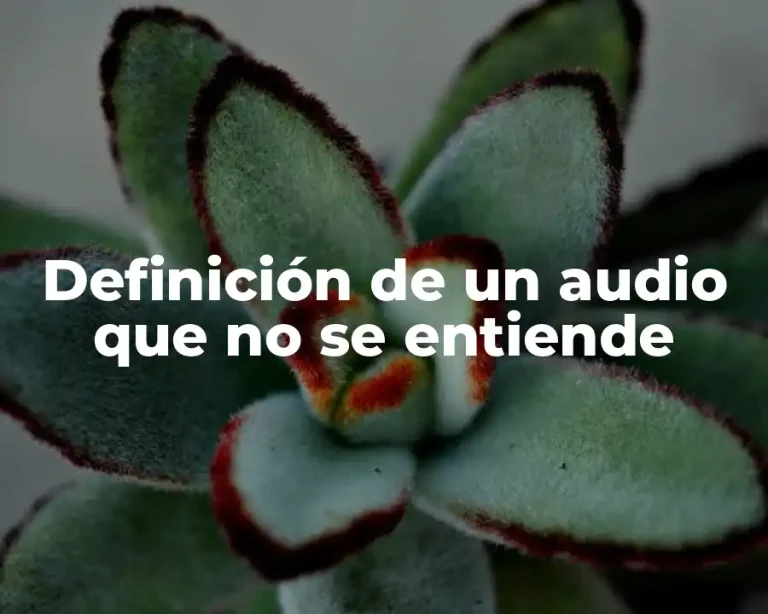 Definición de un audio que no se entiende