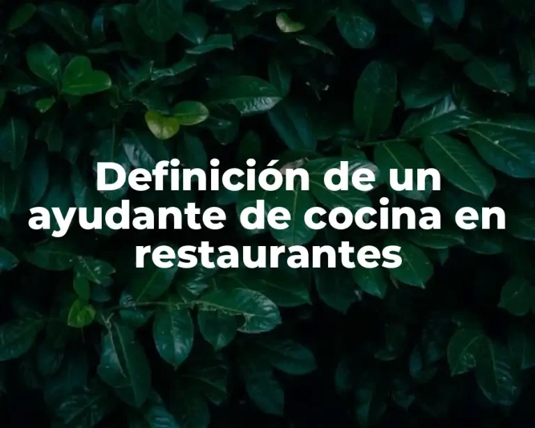 Definición de un ayudante de cocina en restaurantes