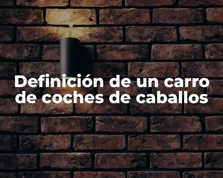 Definición de un carro de coches de caballos