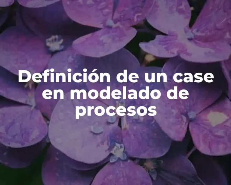 Definición de un case en modelado de procesos