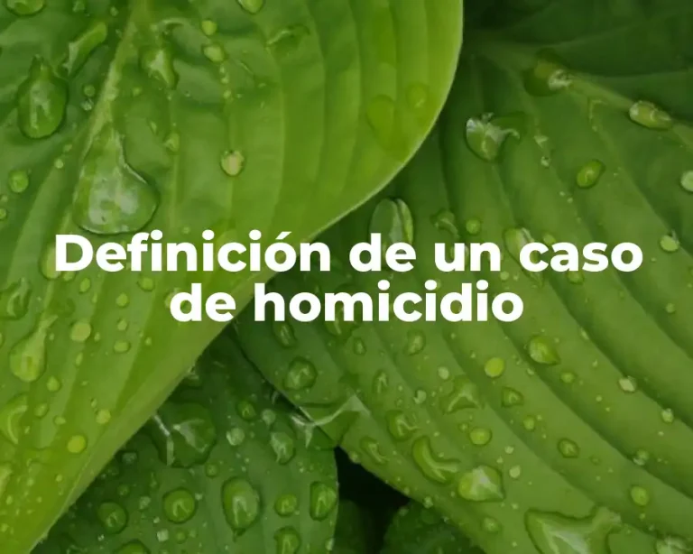 Definición de un caso de homicidio