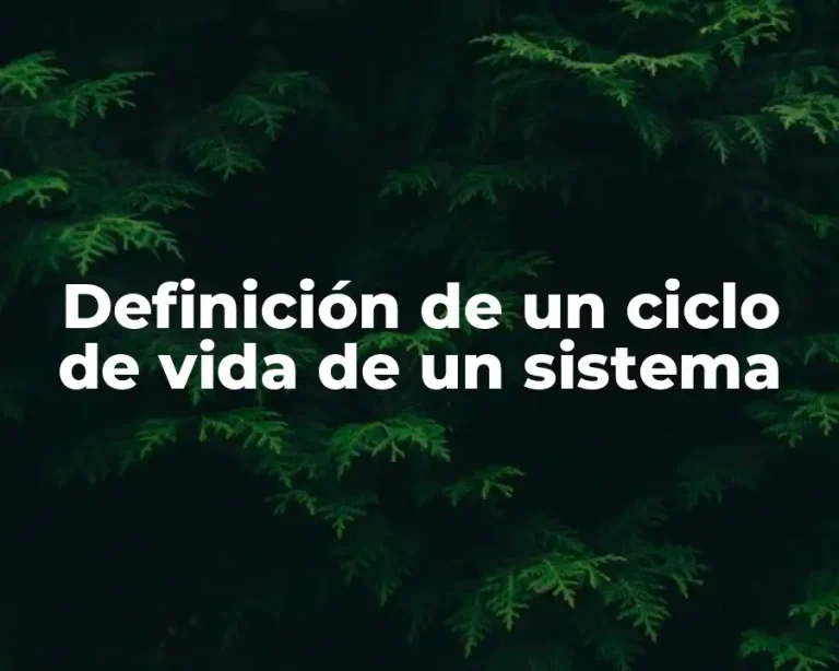 Definición de un ciclo de vida de un sistema