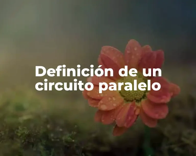 Definición de un circuito paralelo