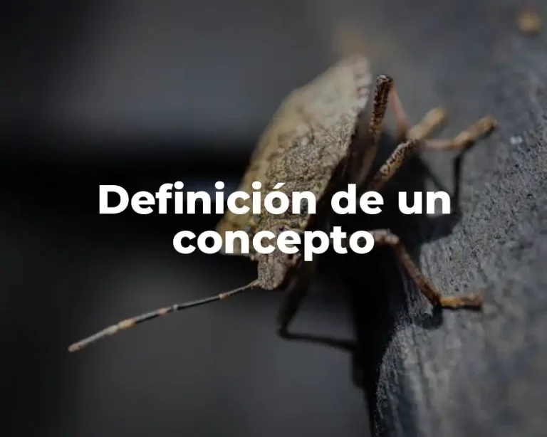 Definición de un concepto