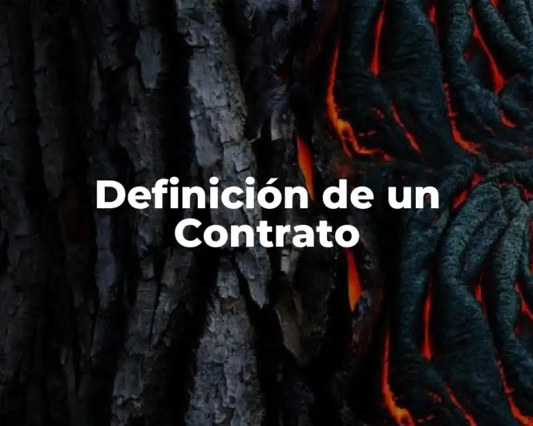 Definición de un Contrato