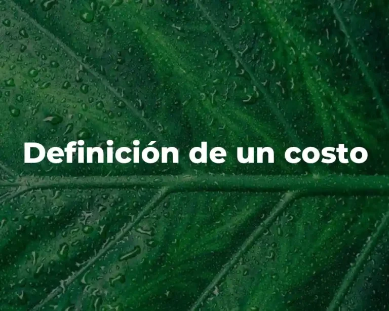 Definición de un costo