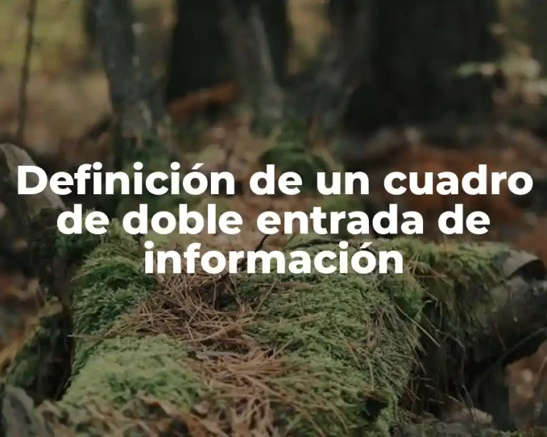 Definición de un cuadro de doble entrada de información