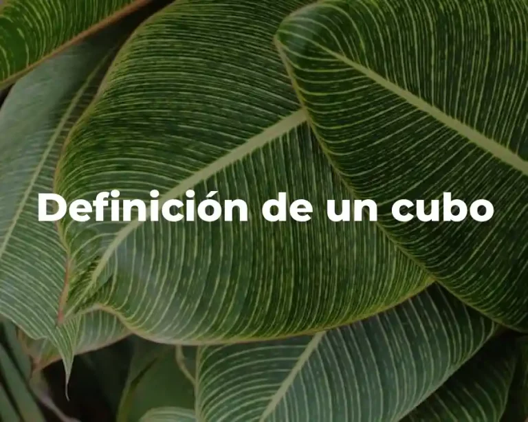 Definición de un cubo