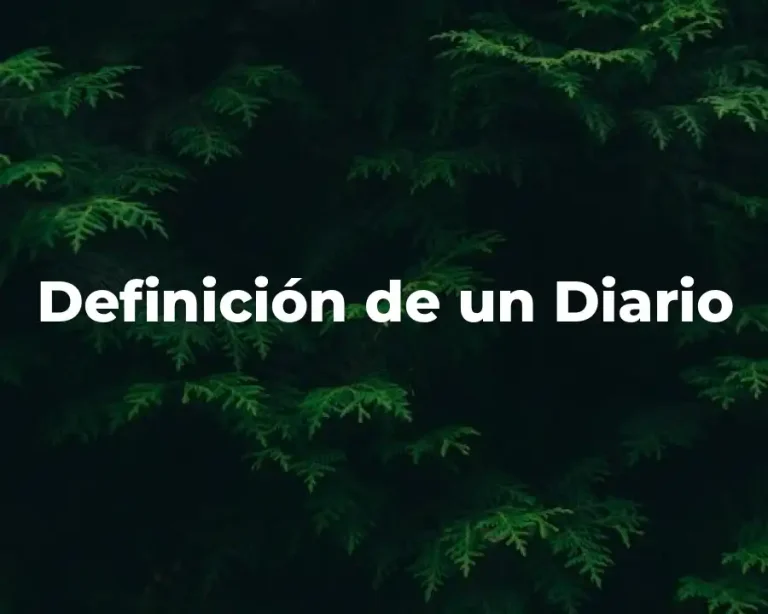 Definición de un Diario