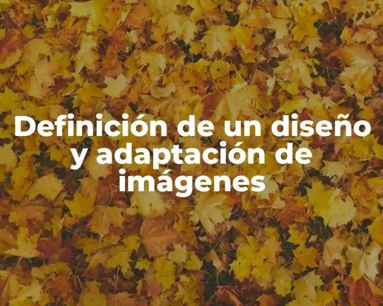 Definición de un diseño y adaptación de imágenes