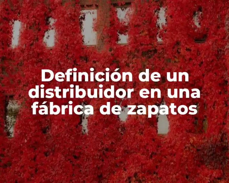 Definición de un distribuidor en una fábrica de zapatos
