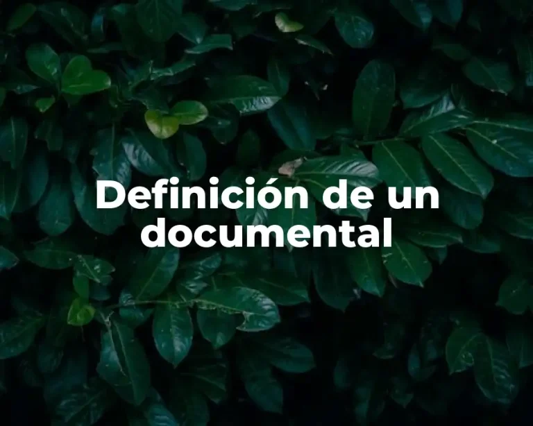 Definición de un documental