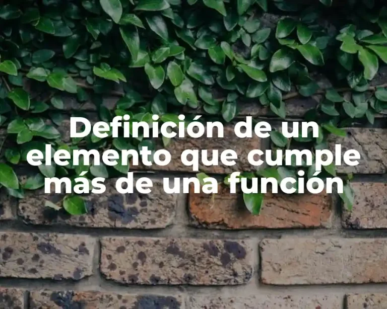 Definición de un elemento que cumple más de una función