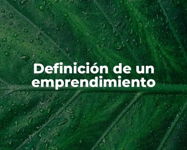 Definición de un emprendimiento