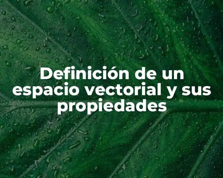Definición de un espacio vectorial y sus propiedades