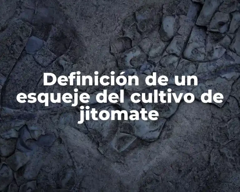 Definición de un esqueje del cultivo de jitomate