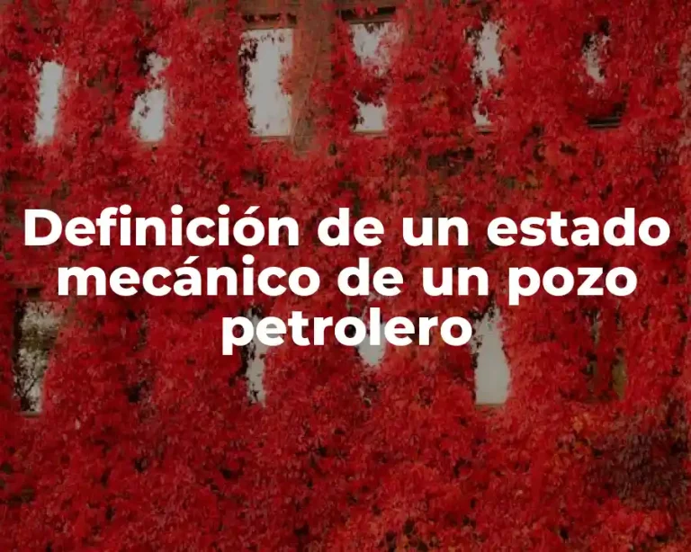 Definición de un estado mecánico de un pozo petrolero