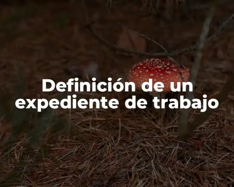 Definición de un expediente de trabajo