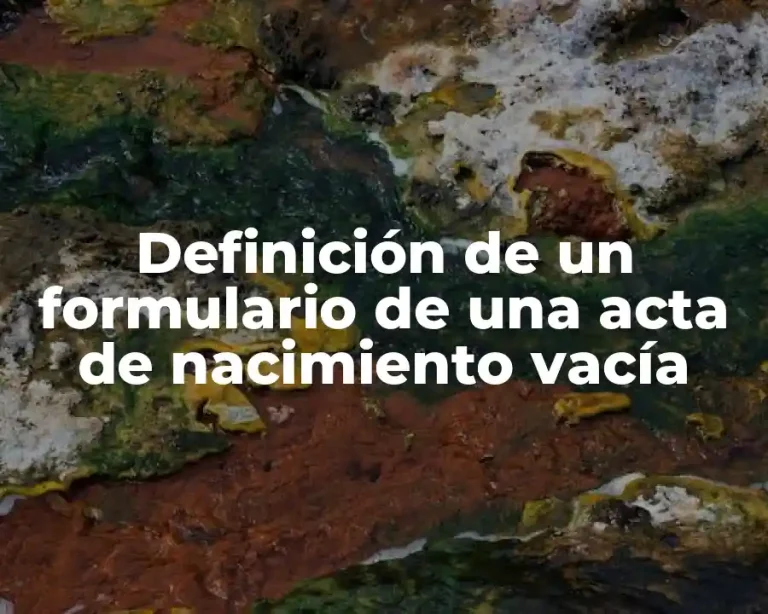 Definición de un formulario de una acta de nacimiento vacía