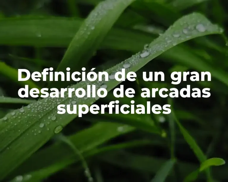 Definición de un gran desarrollo de arcadas superficiales