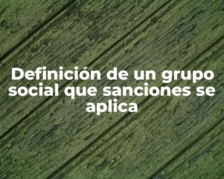 Definición de un grupo social que sanciones se aplica