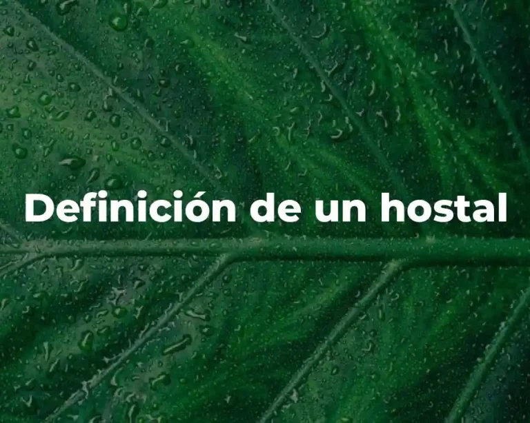 Definición de un hostal
