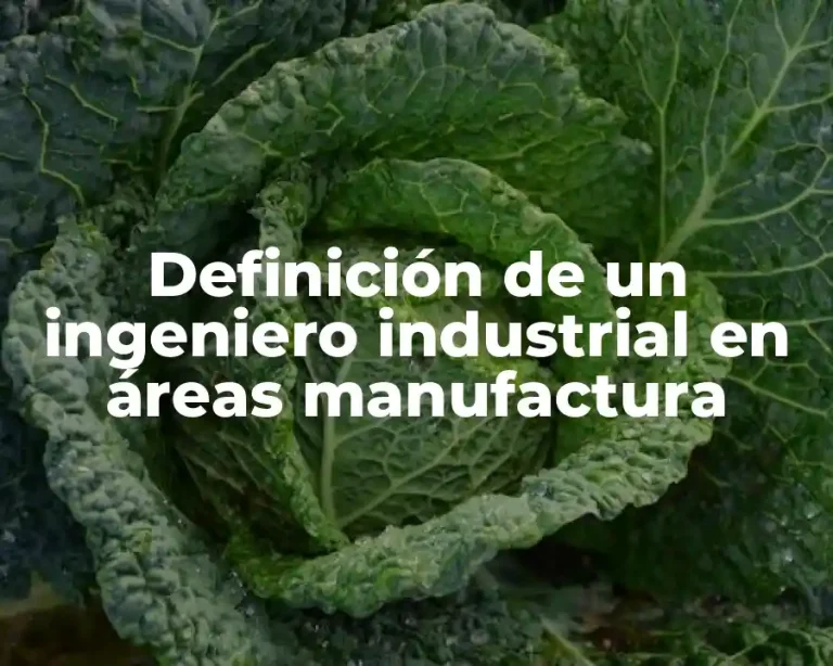 Definición de un ingeniero industrial en áreas manufactura